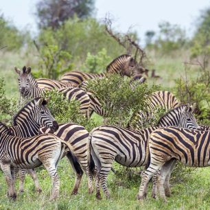 Arusha NP