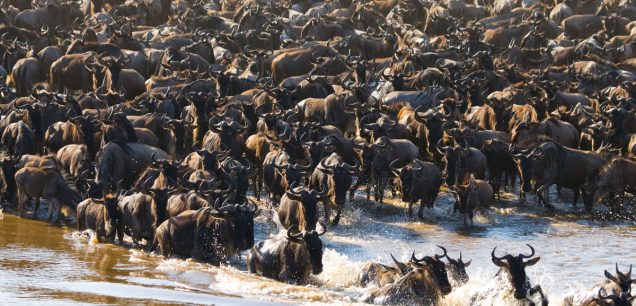 Serengeti National Park