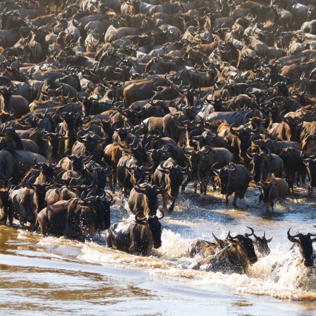 Serengeti National Park