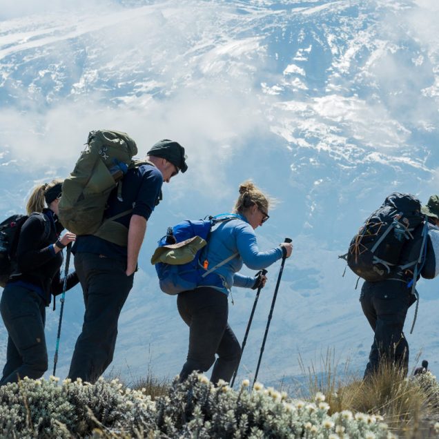 Mt Kilimanjaro