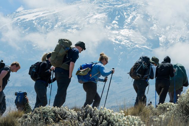 8 Days Lemosho Route