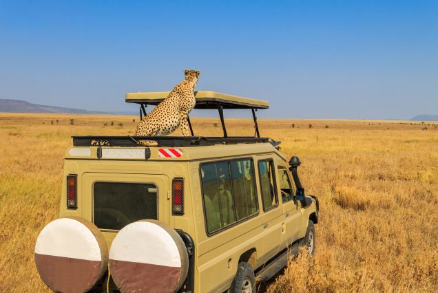 7 Days Tanzania Safari